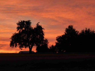 Abendstimmung bei uns auf dem Gelände