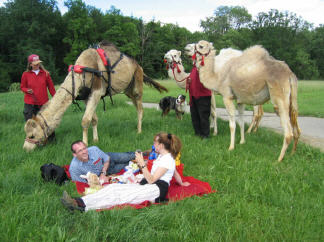 Unterwegs kann ein Picknick im Grünen gemacht werden